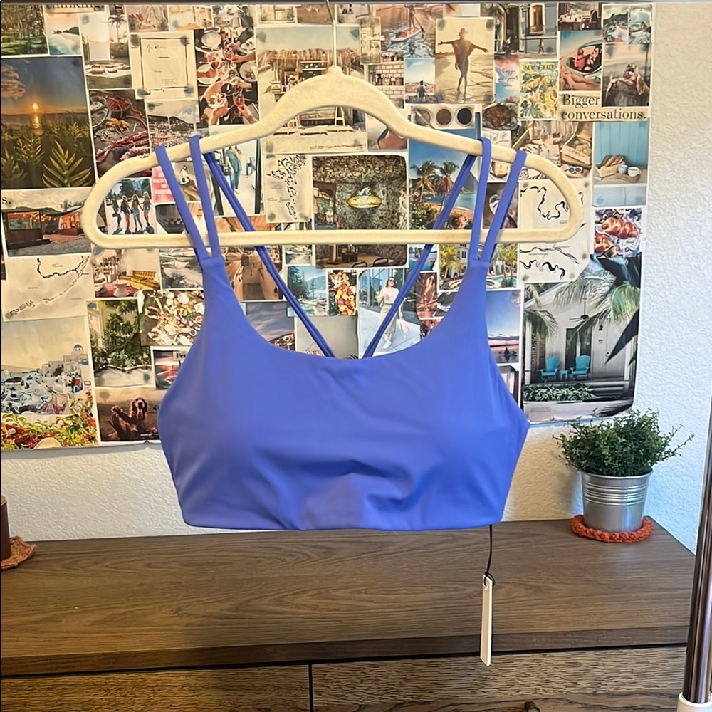 SOLD NWT Paragon Radiate Bra in Shade Mistique